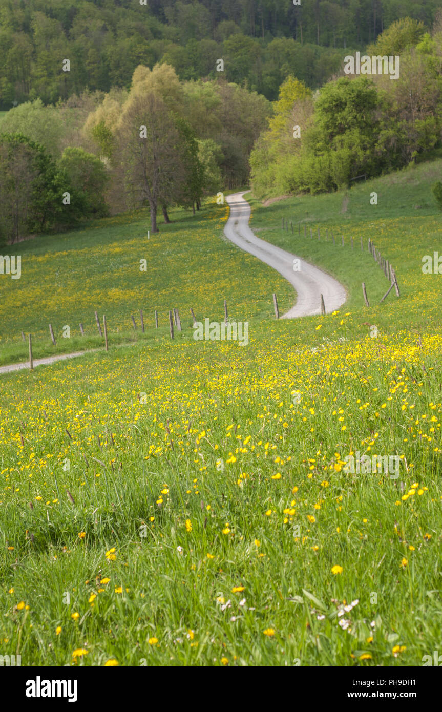 Arzbach Stockfotos & Arzbach Bilder Alamy Arzbach Stockfotos & Arzbach Bilder Alamy