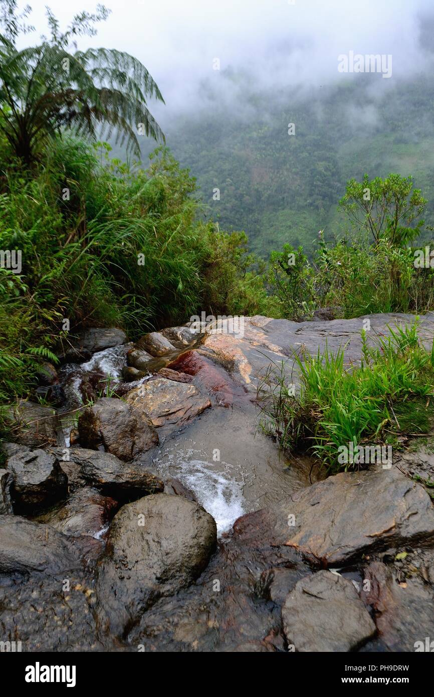 Wasserfall in LA ZUNGA - Ecuador Grenze - San Ignacio - Departement Cajamarca PERU Stockfoto