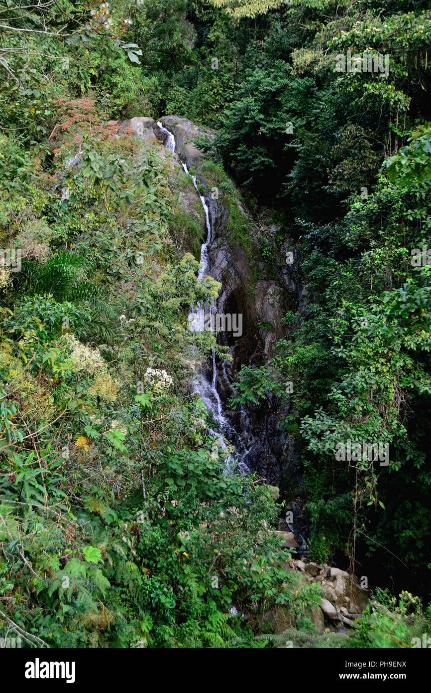 Wasserfall in LA ZUNGA - Ecuador Grenze - San Ignacio - Departement Cajamarca PERU Stockfoto