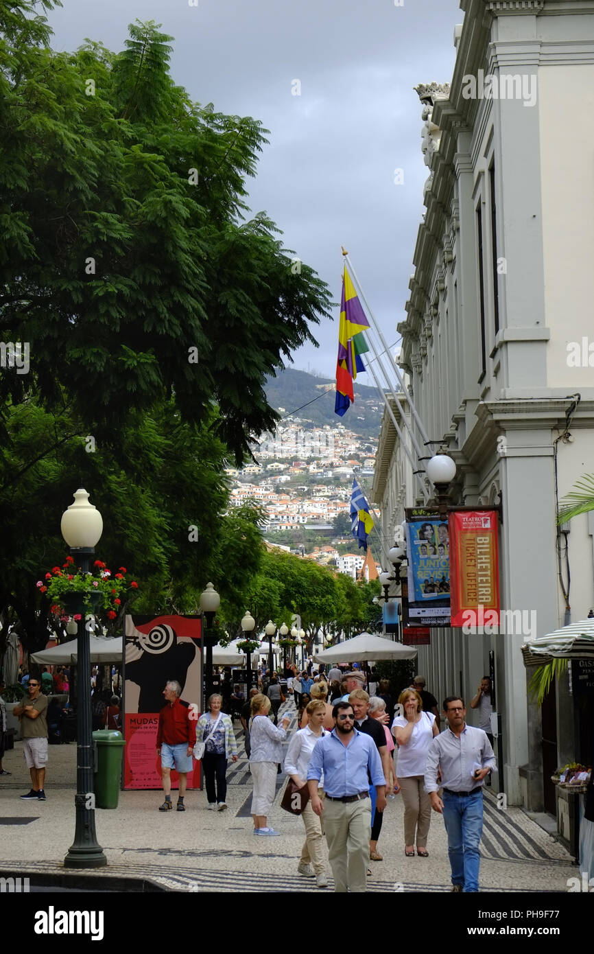 Avenida Arriaga, eine Flaniermeile in Funchal, Madeira Stockfoto