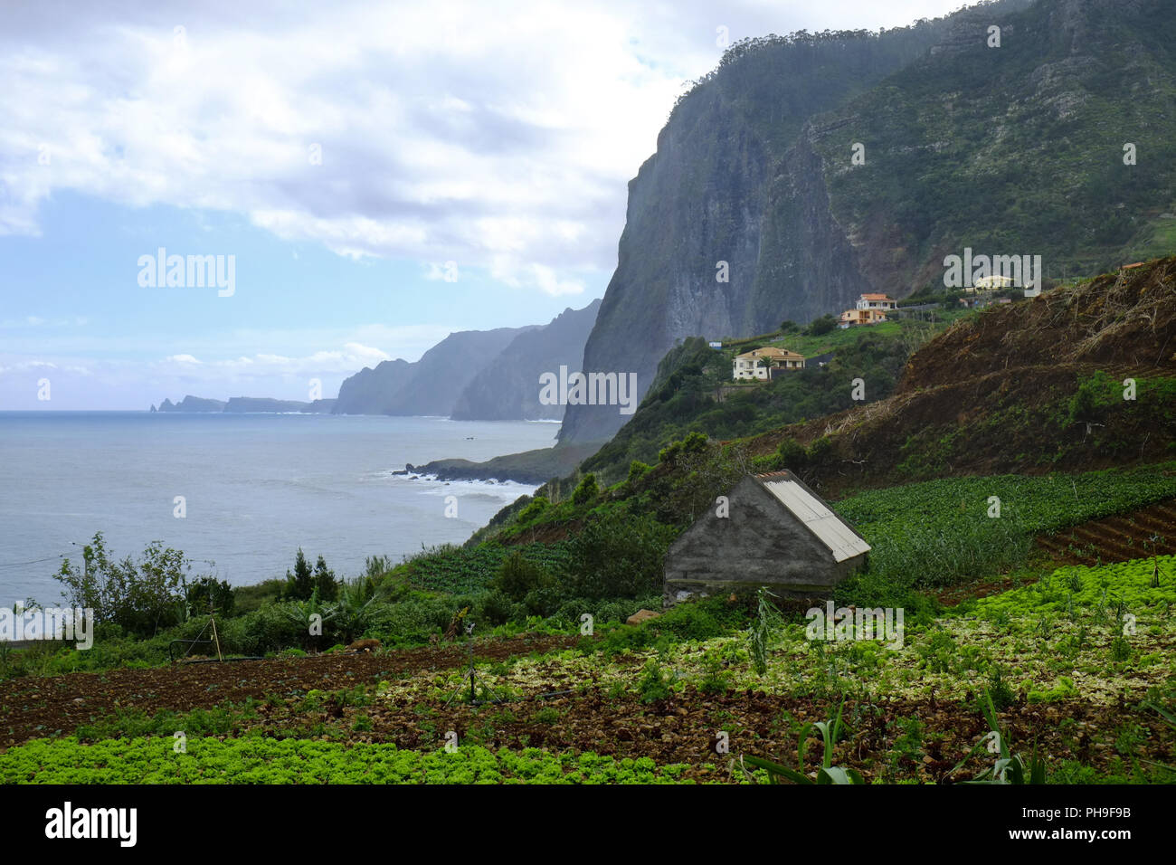 Landschaft in der Nähe von Faial, Madeira Stockfoto