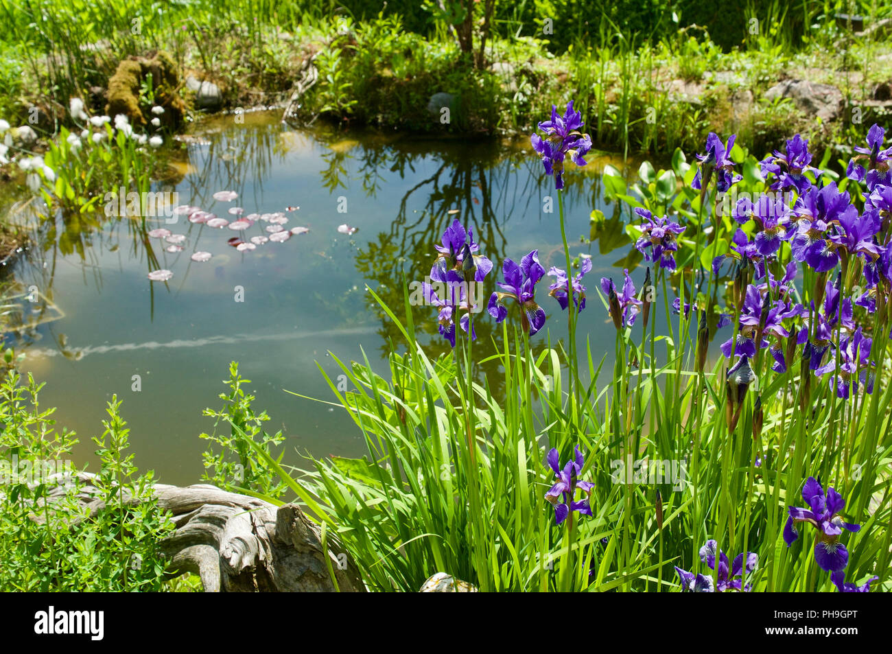 Naturbelassener garten Stockfotos und bilder Kaufen Alamy