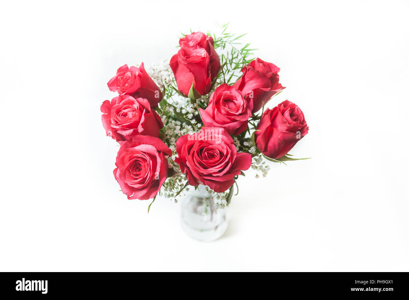 Rote Rosen Stockfoto