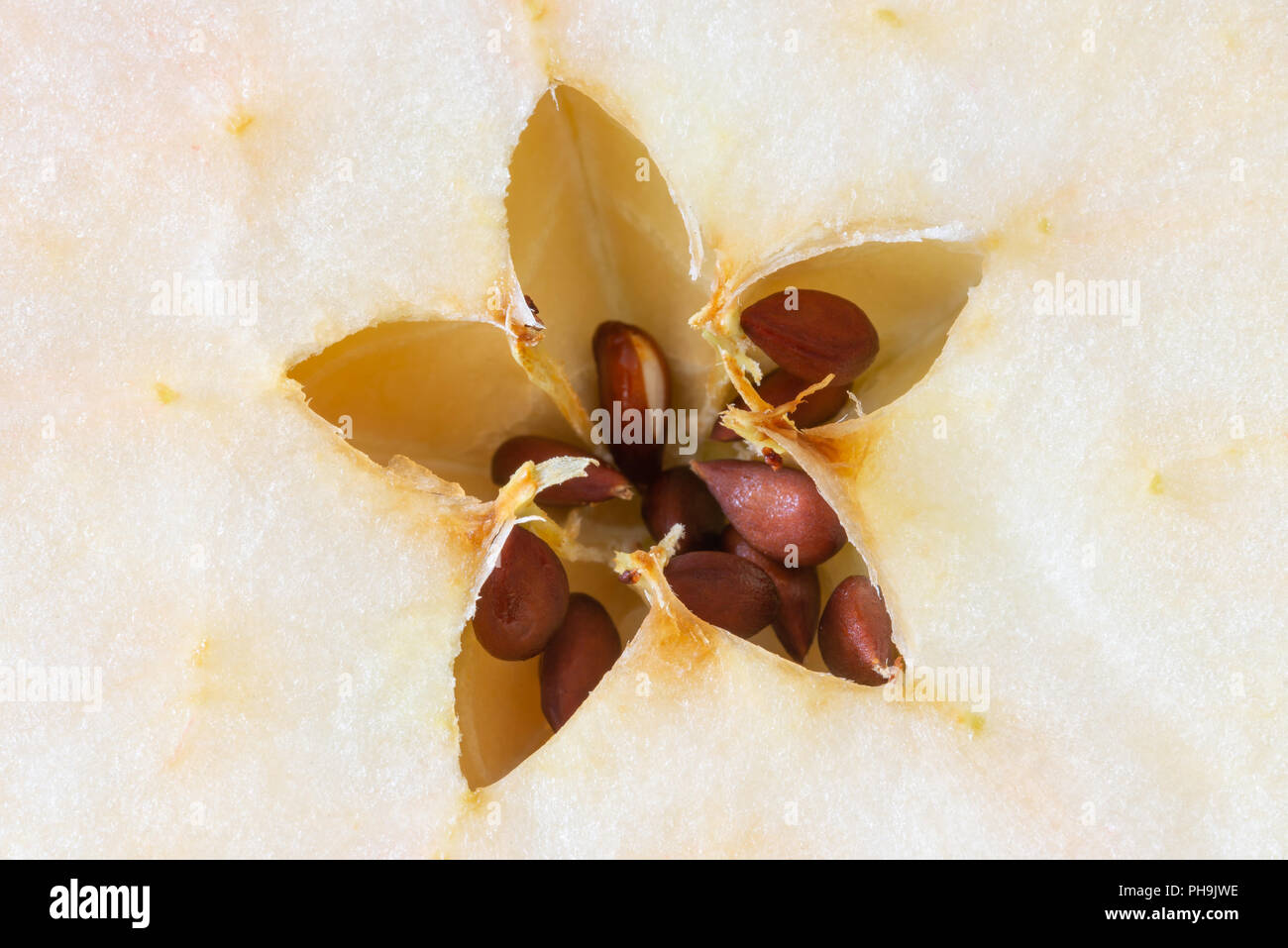 Makro einer cut Apple, zeigt die Samen in einem zarten fünfzackigen Stern Motiv Stockfoto