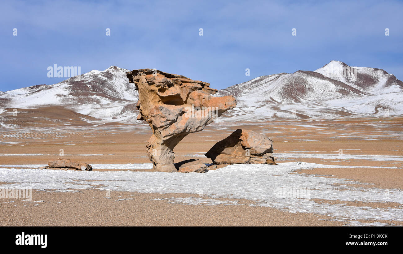 Der Arbol de Piedra (Stein), in der Siloli Wüste, Sud Lipez Provinz, Uyuni, Bolivien. Stockfoto