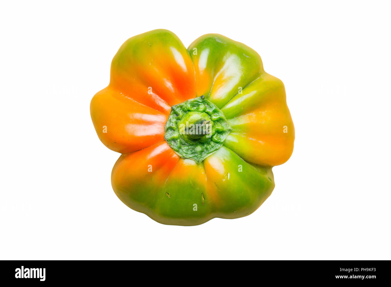 Natürliche gelb, orange und grüne Paprika aus dem Garten Stockfoto