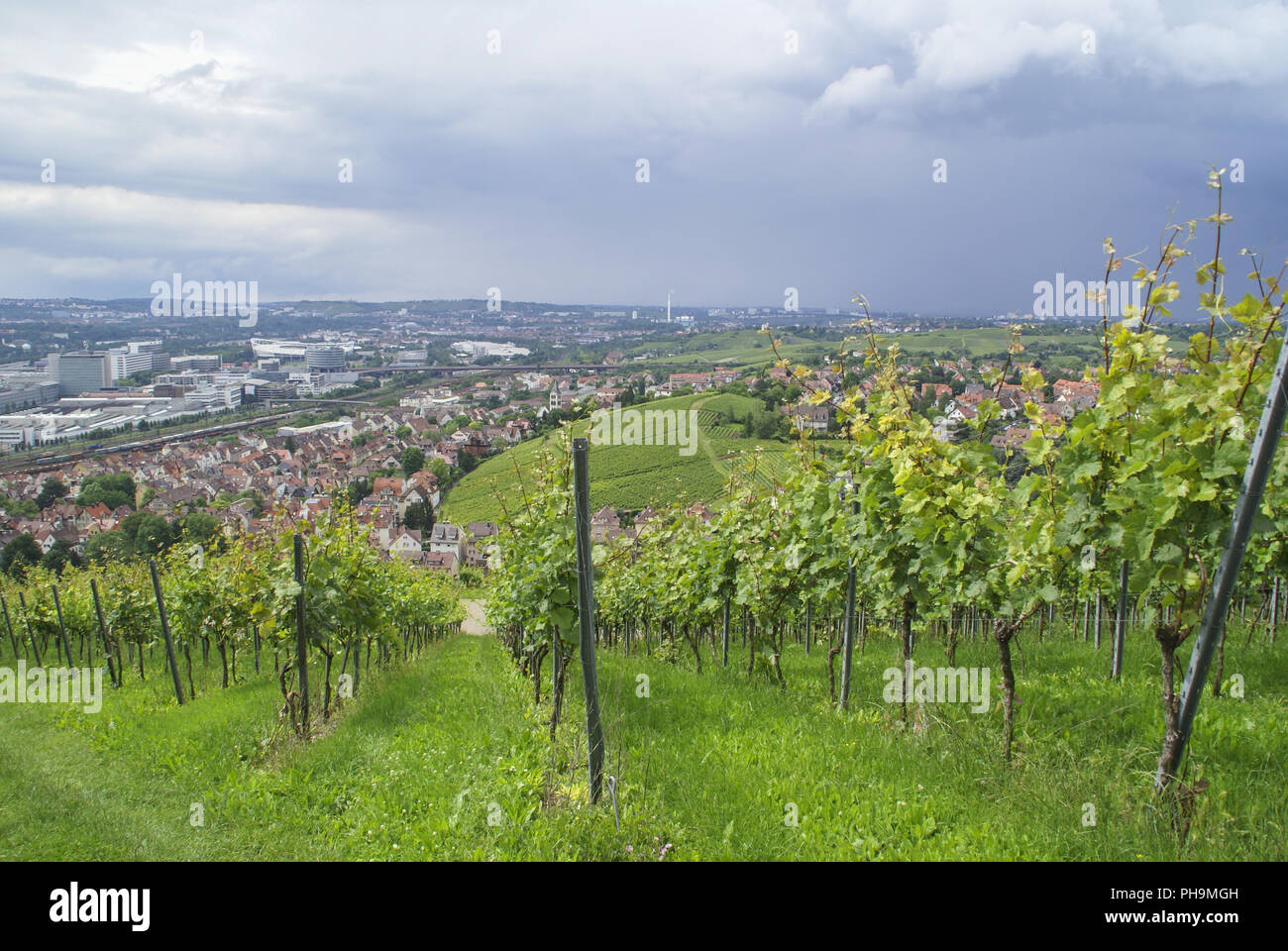 Weinberge oberhalb von untertürkheim Fotos und Bildmaterial in hoher