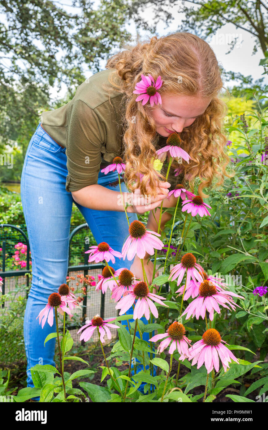Junge kaukasier Frau riechen Echinacea Blume im Garten Stockfoto