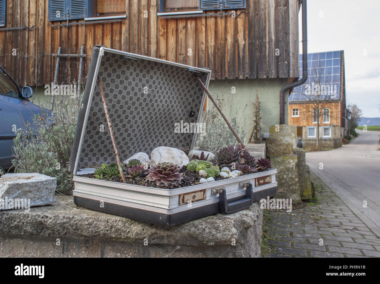 Koffer mit botanischen Innenleben, Bibersfeld verworfen, Deutschland Stockfoto