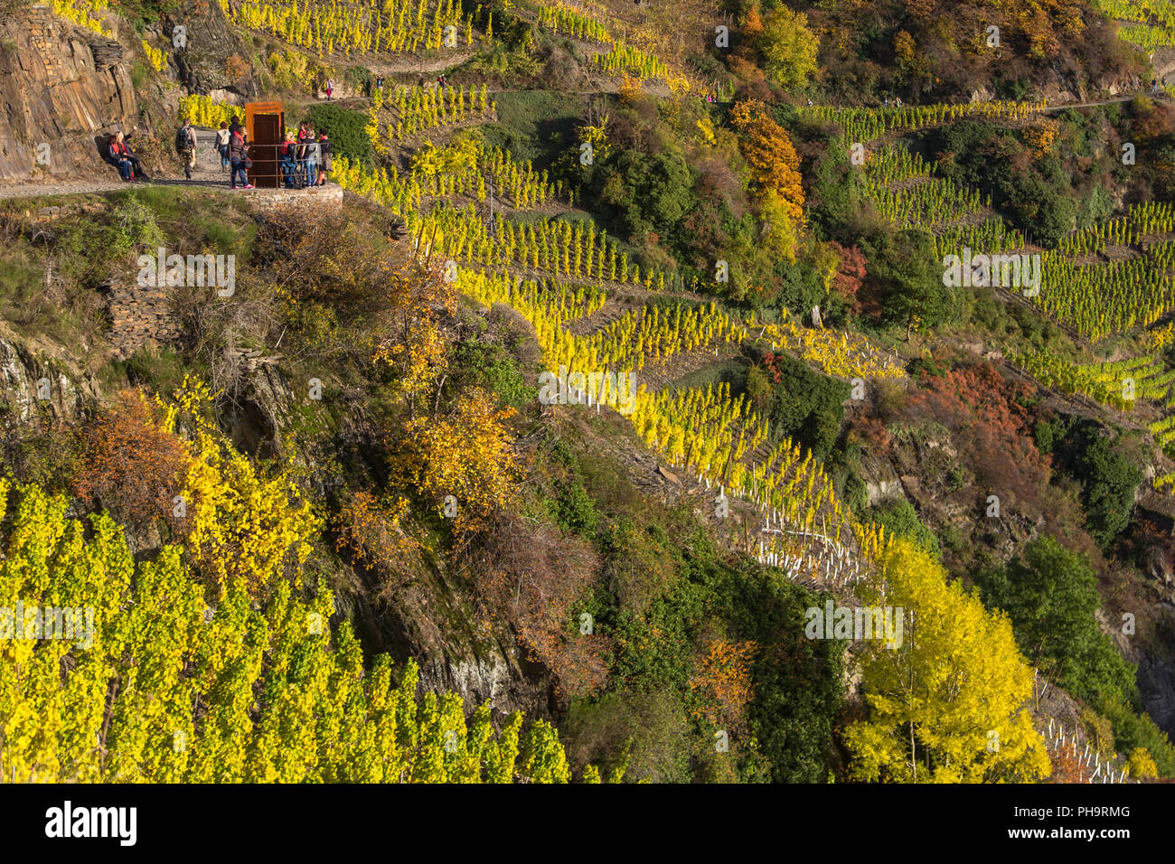 Red Wine Trail, Rotweinwanderweg, Ahrtal Stockfoto