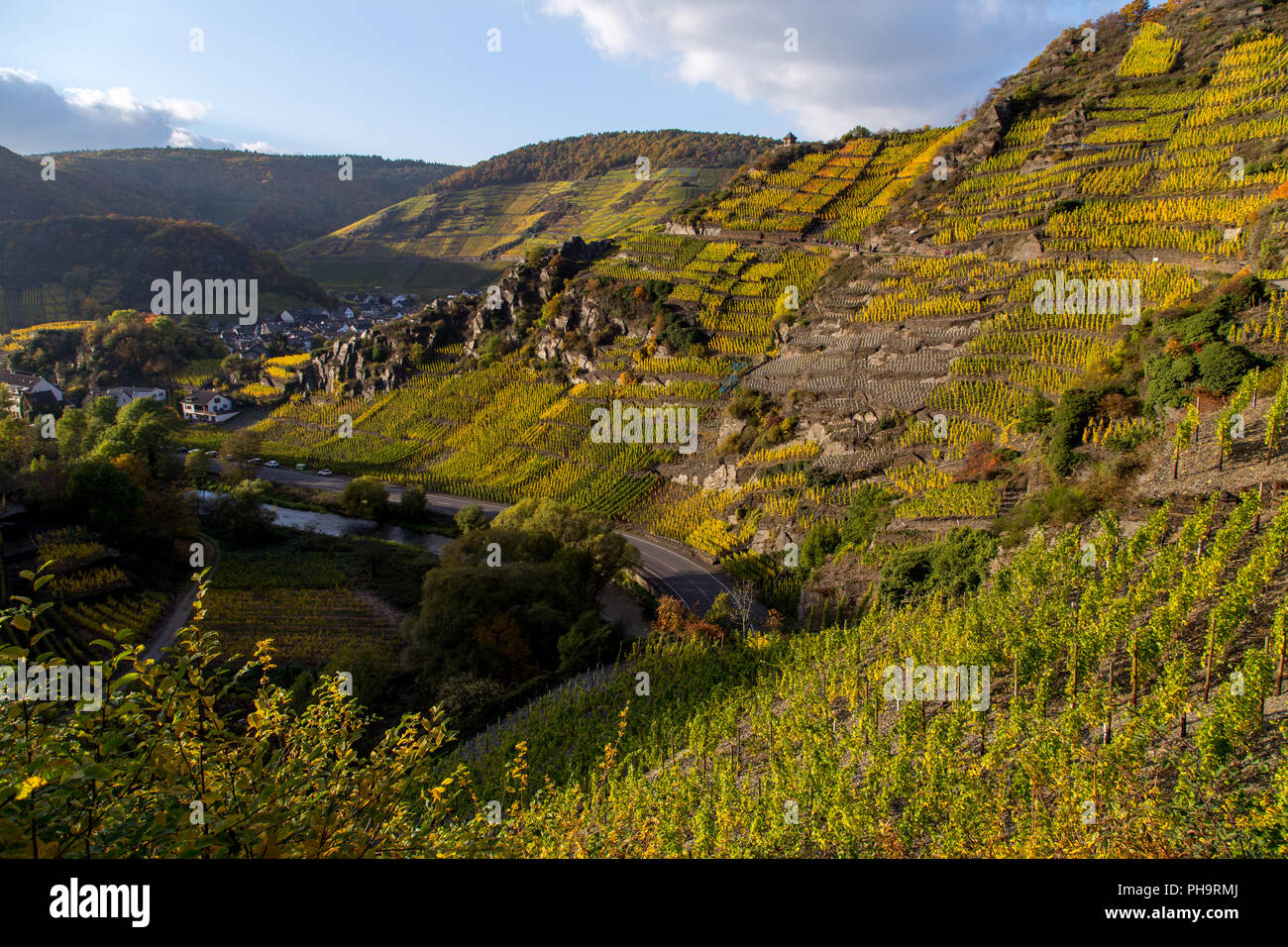 Weinberge im Ahrtal, Deutschland Stockfoto