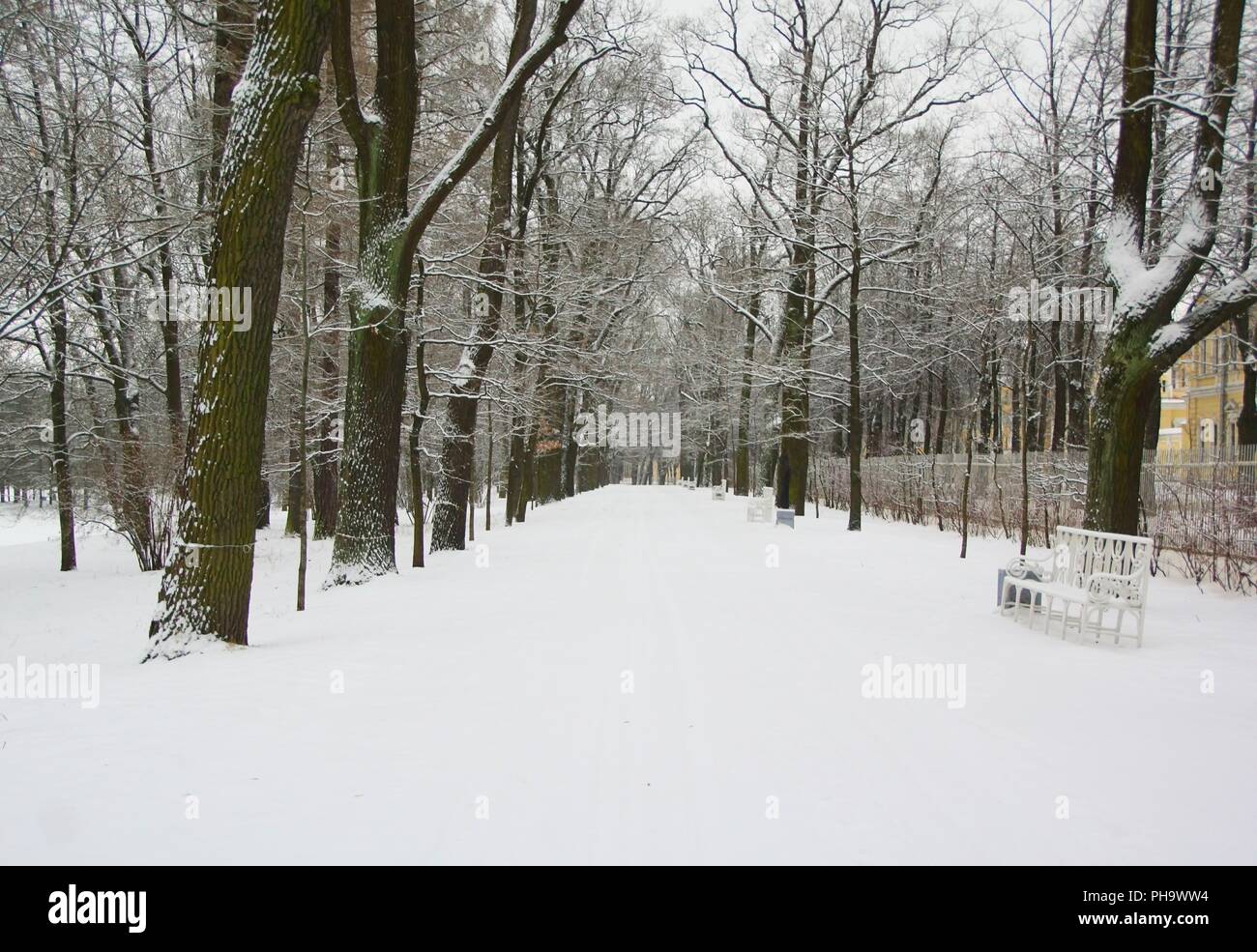 Spaziergang im Schneesturm Stockfoto