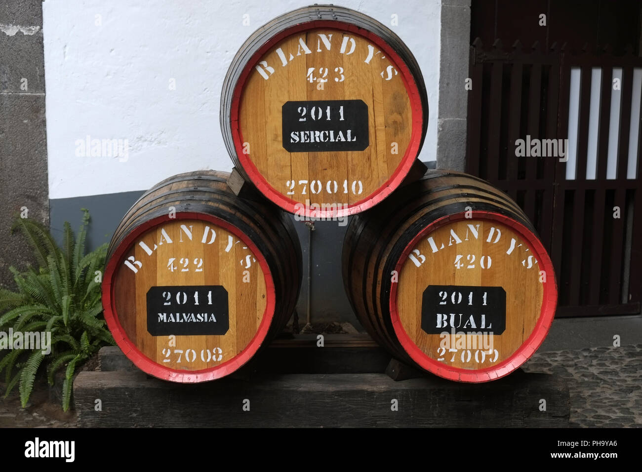 Fässer Wein aus Madeira, Funchal Stockfoto