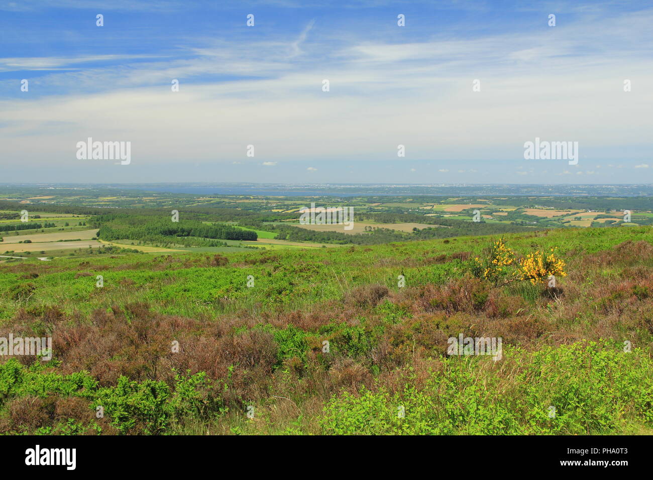 Landschaft in der Bretagne Stockfoto