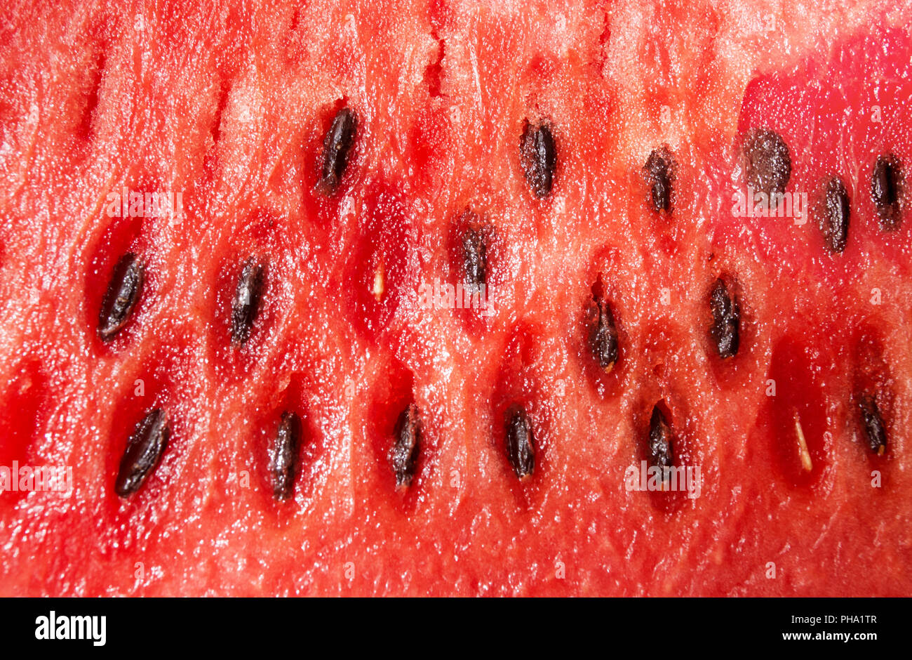 Saftige rote Wasser Mellon mit Samen Stockfoto