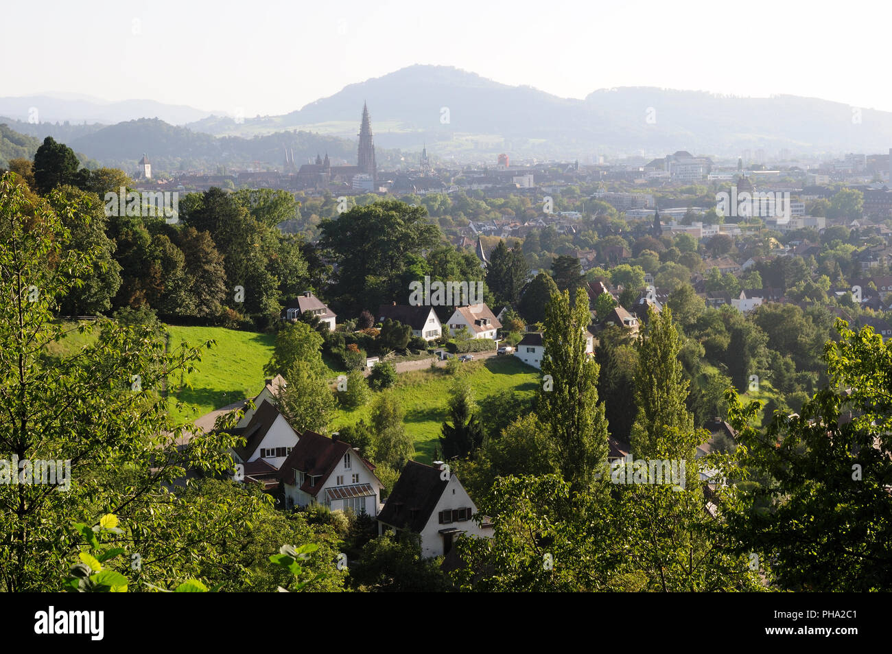 Freiburg im Breisgau Schwarzwald Landschaft Stockfoto