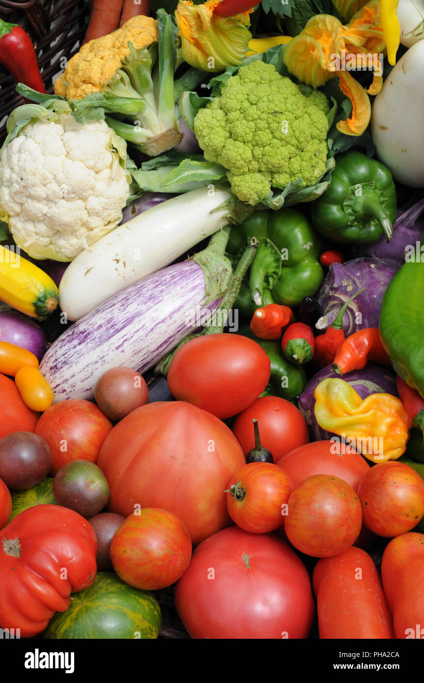 Verschiedene rohes Gemüse auf den Tisch. Stockfoto