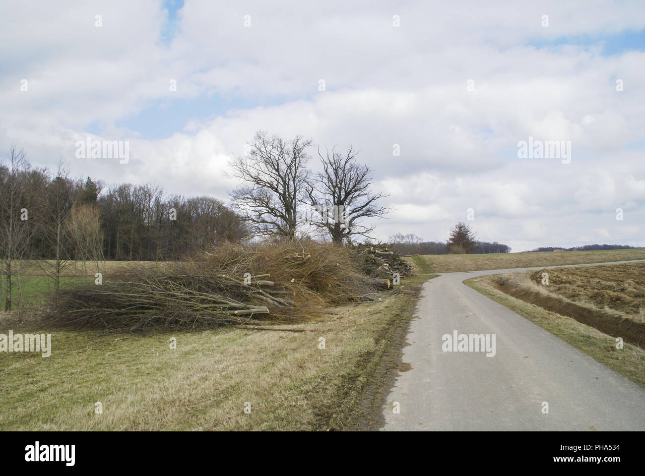 Gras- und Baumschnitt im Frühling, Schrozberg-Riedbach Stockfoto