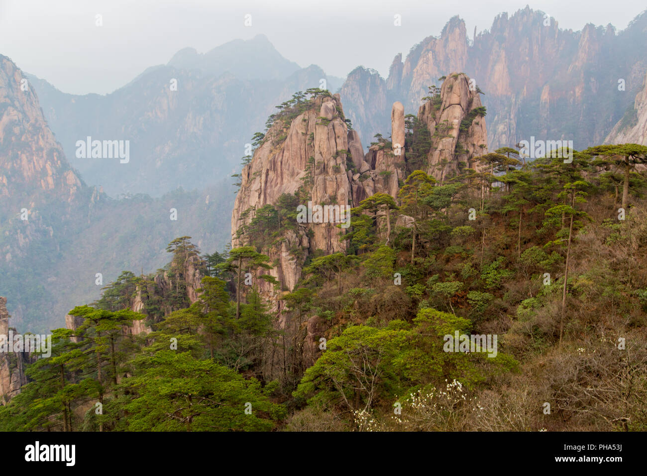 Felsformationen in Huang Shan, China Stockfoto