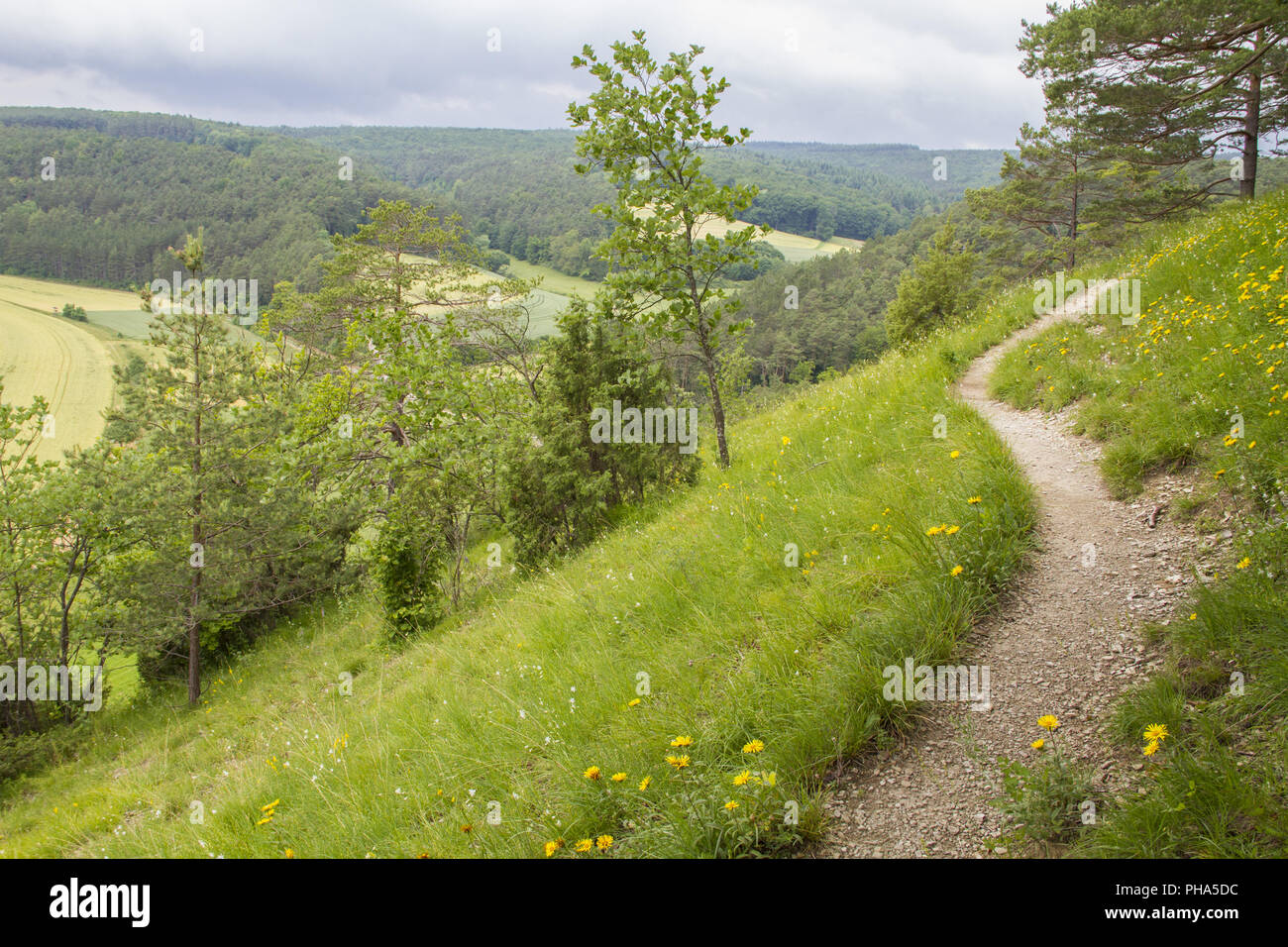 Geschützte Landschaft im Taubertal in der Nähe Koenigheim, Deutschland Stockfoto