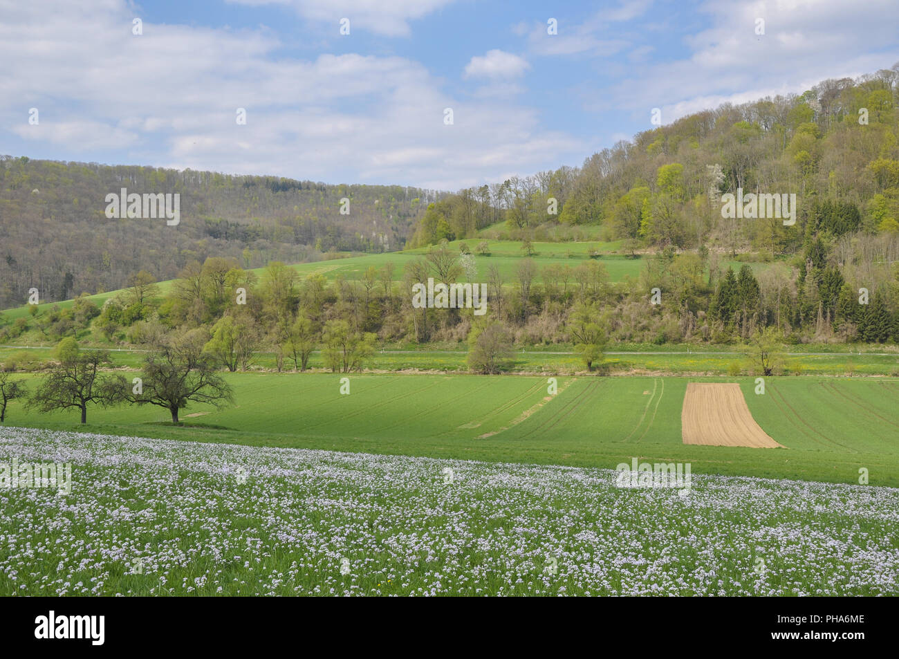 Frühling im Jagsttal in der Nähe Baechlingen, Deutschland Stockfoto