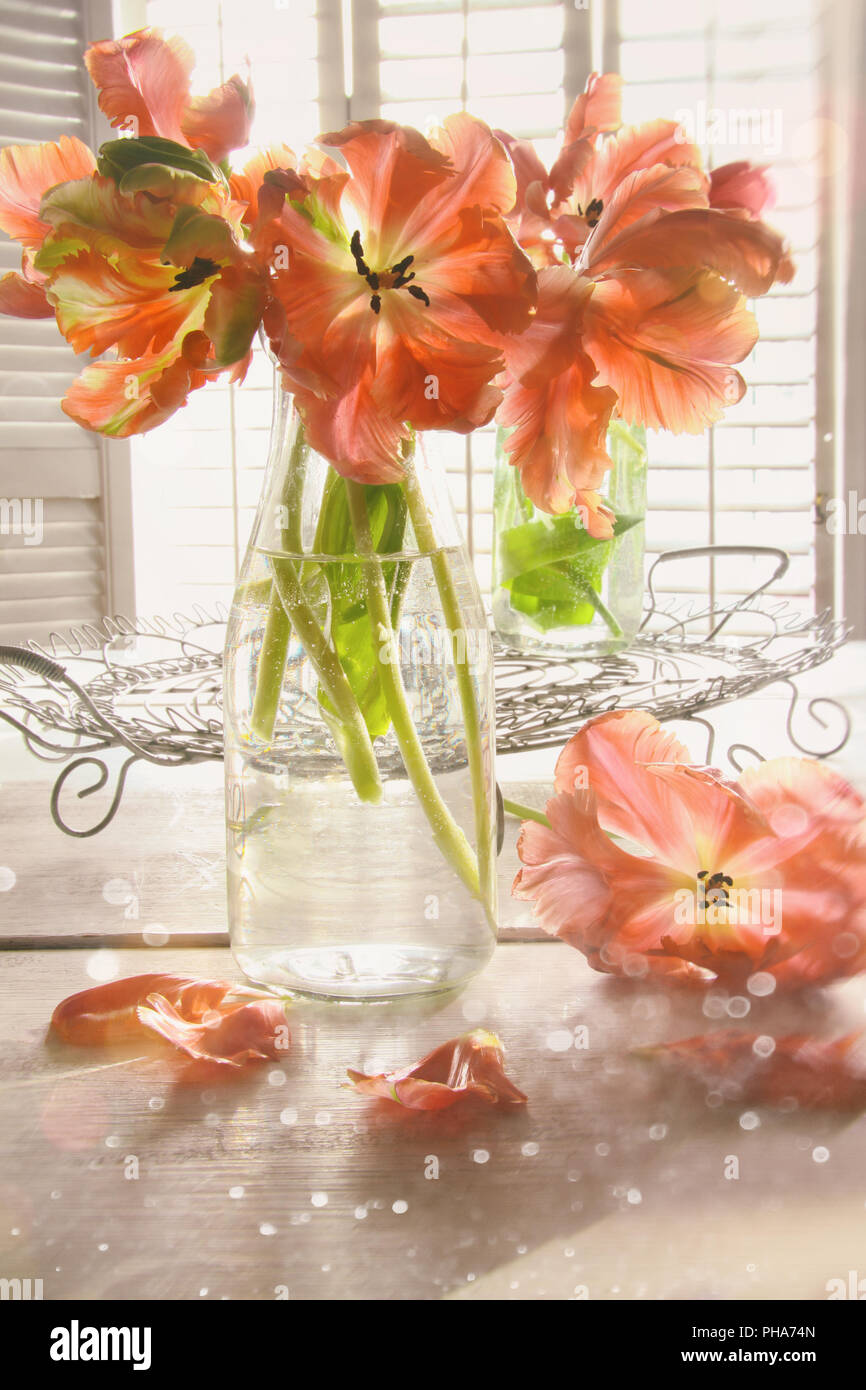 Bunte Tulpen auf Tisch Stockfoto