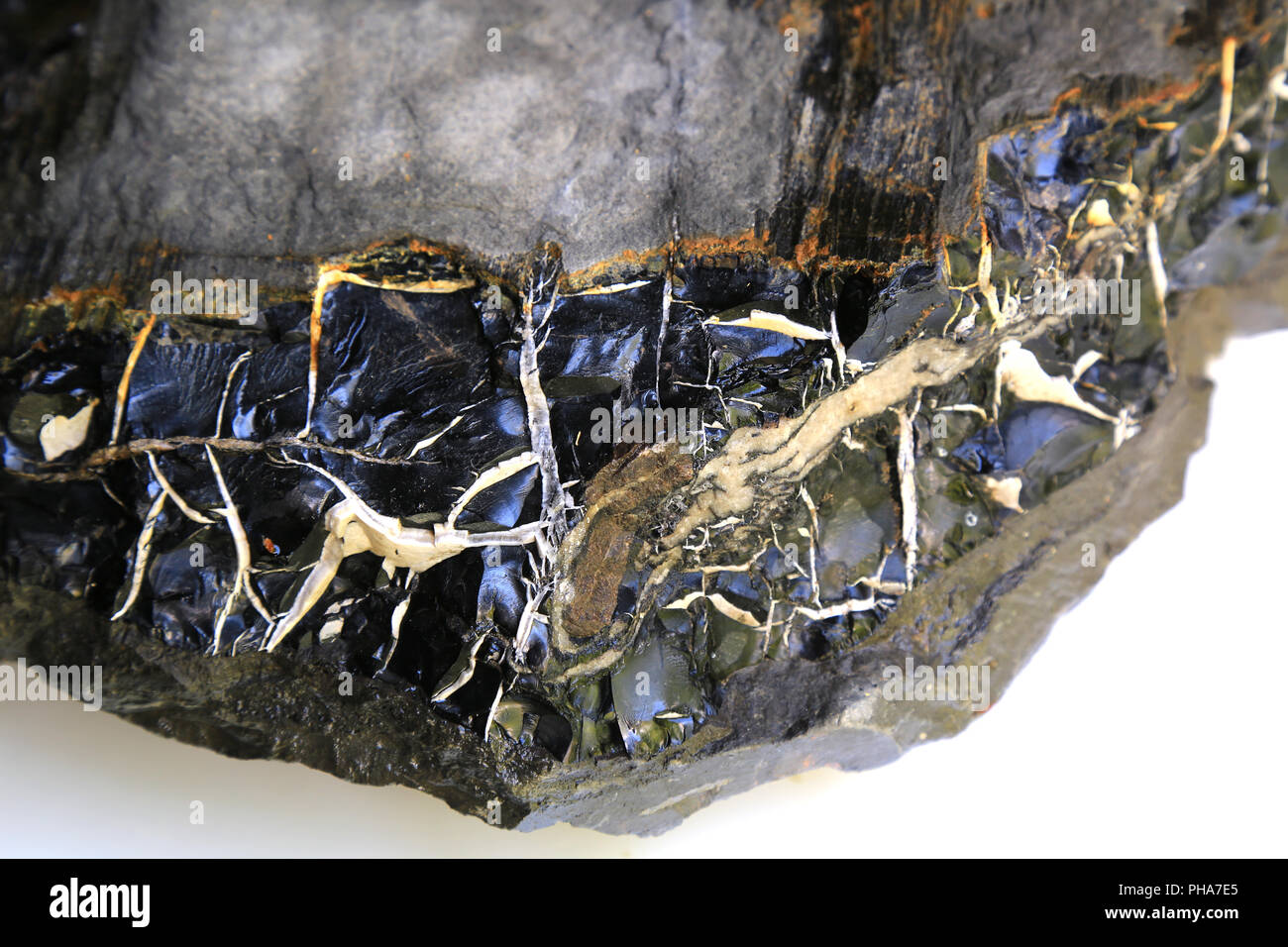 Jet (versteinertes Holz), Deutschland Stockfoto