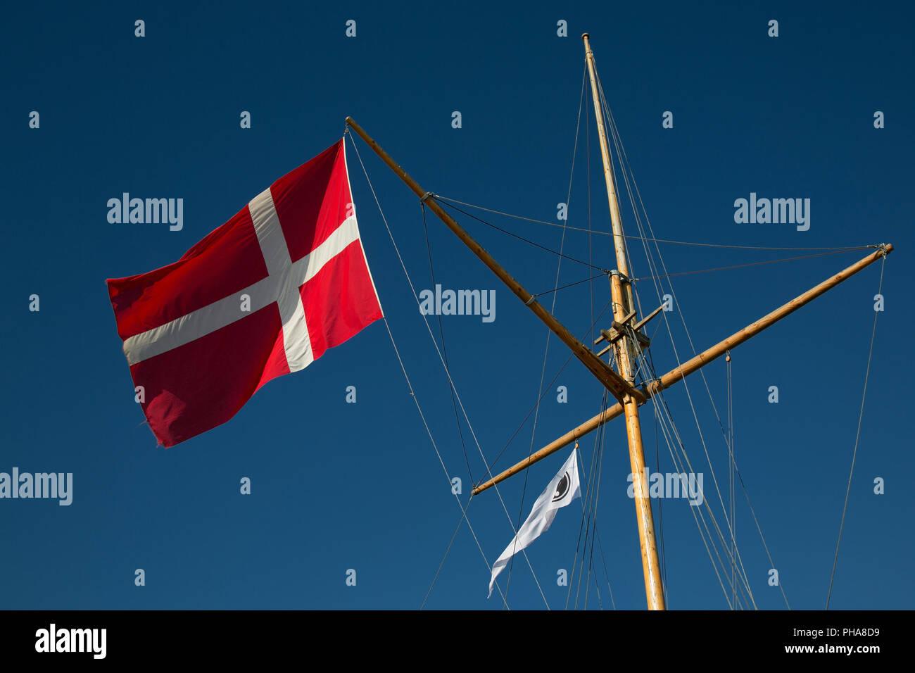 Dänische Flagge, die älteste Fahne in der Welt Stockfoto