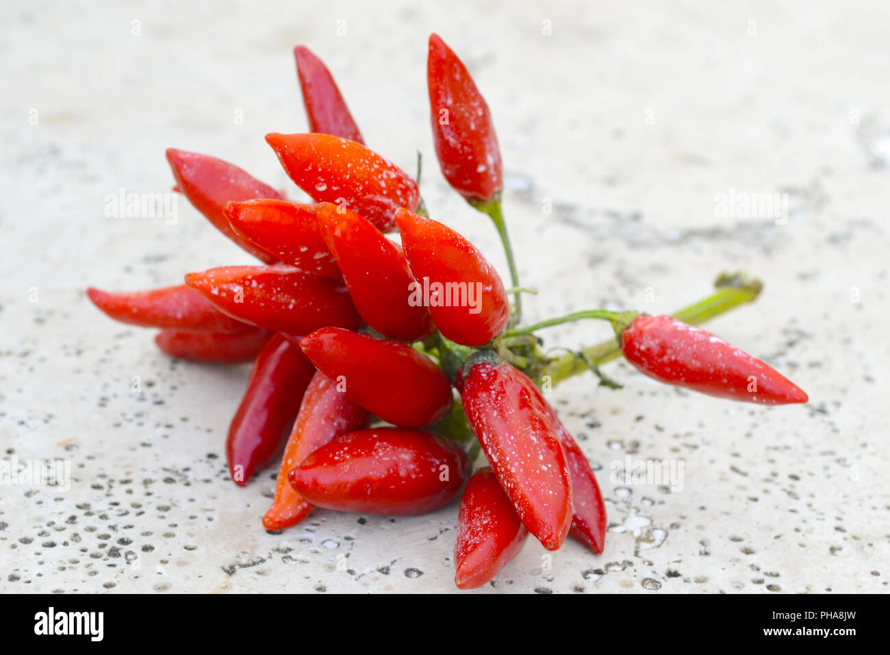 Bündel von red hot chili peppers Stockfoto