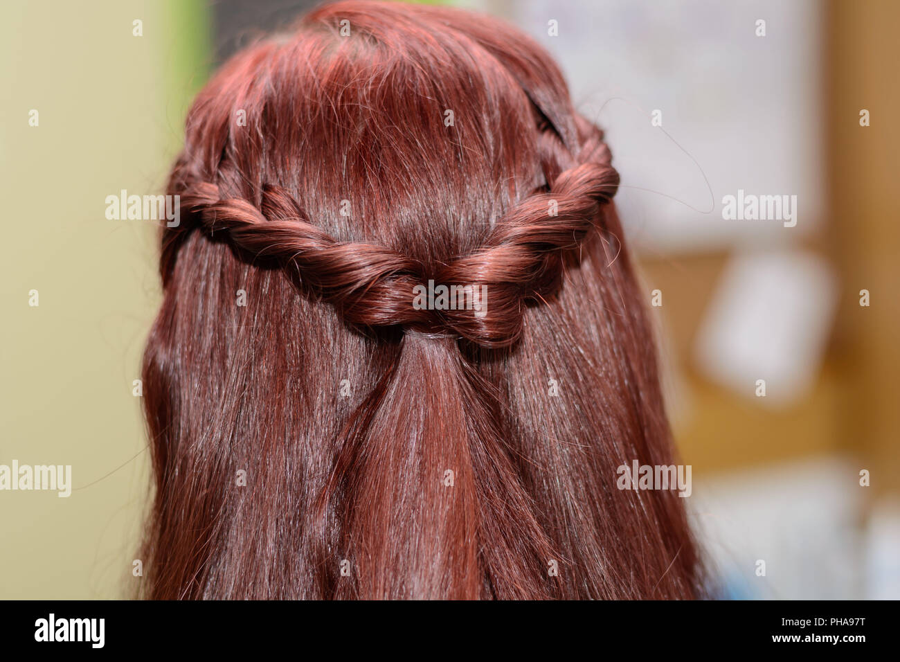 Lange brünette Haare zu einem Zopf geflochten Stockfoto