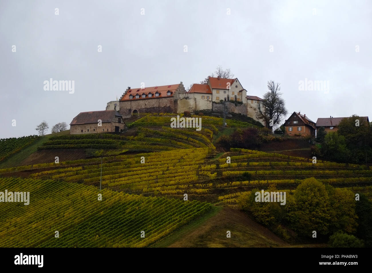 Schloss Staufenberg in der Ortenau, der Südwesten Deutschland Stockfoto