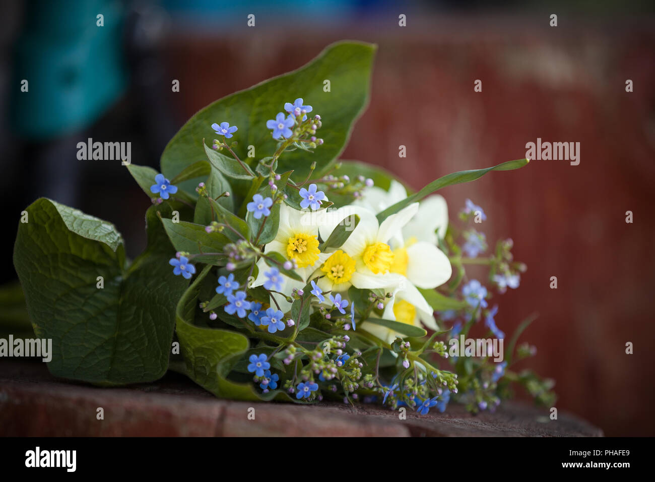 Schöne Bündel Garten Blumen Verlegung auf dem Holz- Hintergrund. Spring Bouquet von Vergiss mich nicht, Narzissen, Narzissen und Blätter. Sommer Blumen. Stockfoto