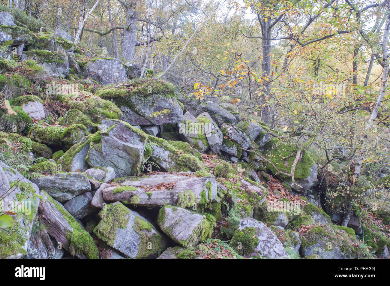 Legendäre Chaos der Felsen in der Nähe von Heidelberg, Deutschland Stockfoto