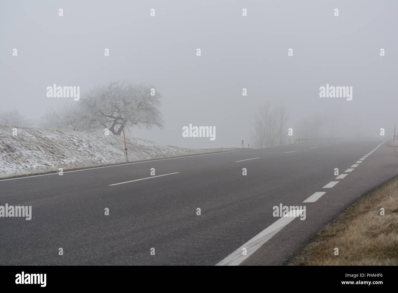 Gefährliche Fahrsituationen wegen schlechter Sicht im Nebel Stockfoto