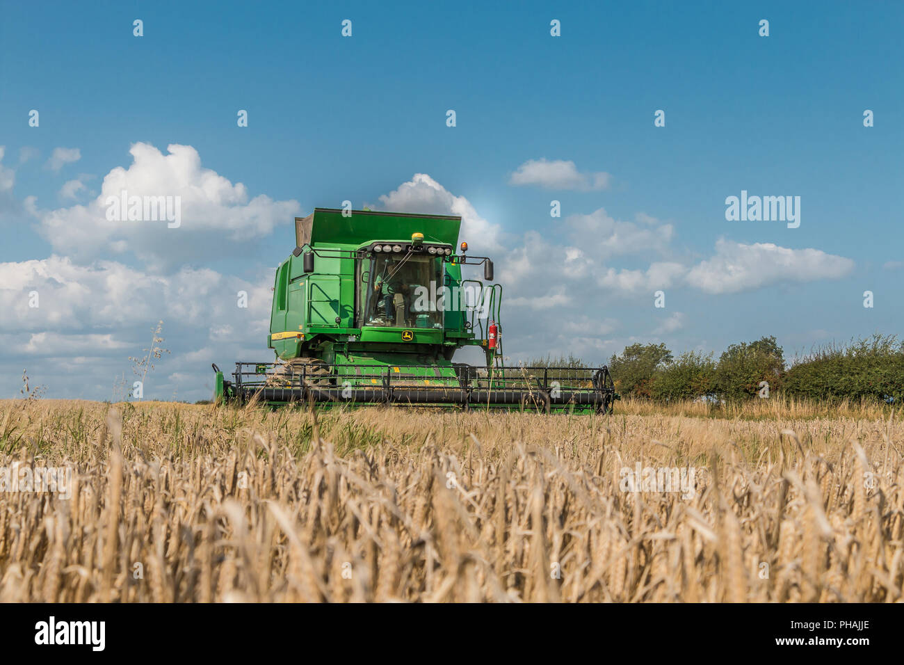Ein John Hirsche Hillmaster Mähdrescher bei der Arbeit auf einer Ernte von sommergerste Stockfoto