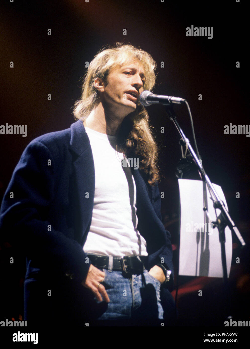 Robin Gibb (Bee Gees) am 24.05.1991 in Kiel. | Verwendung weltweit Stockfoto