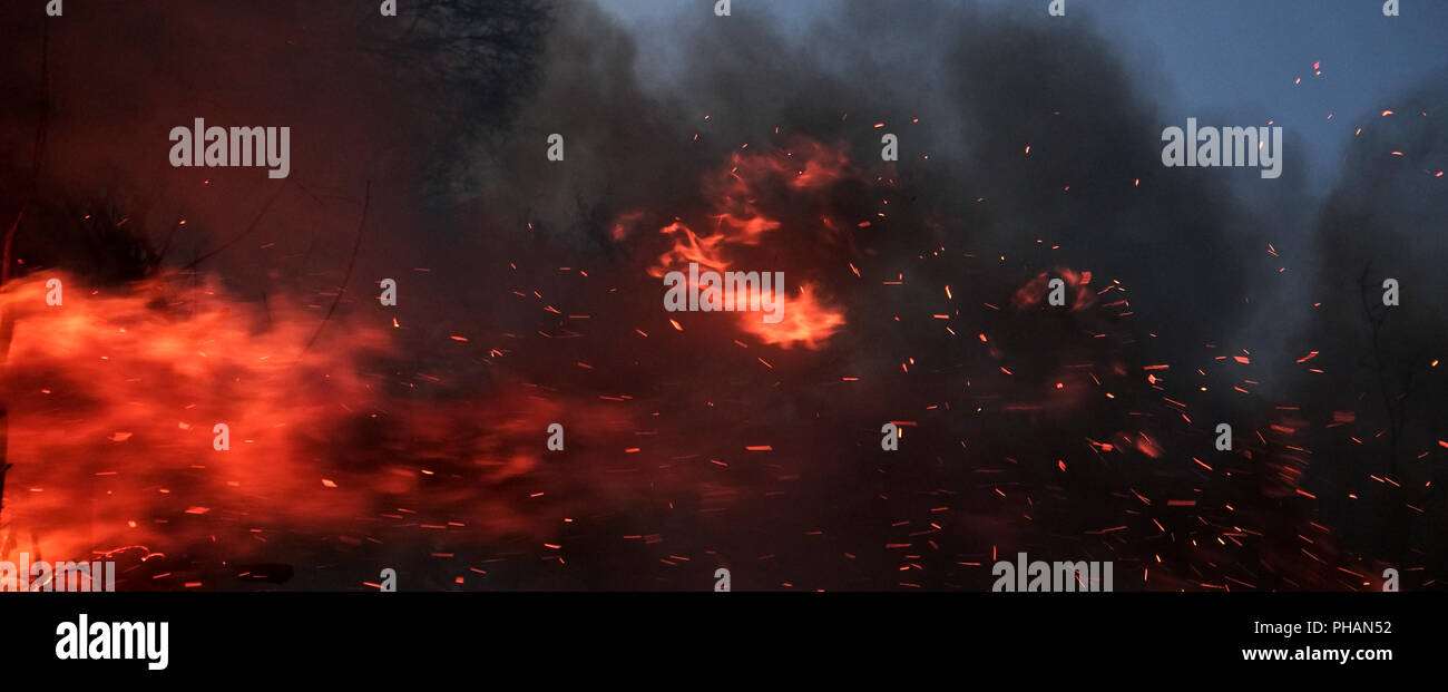 Waldbrand Stockfoto