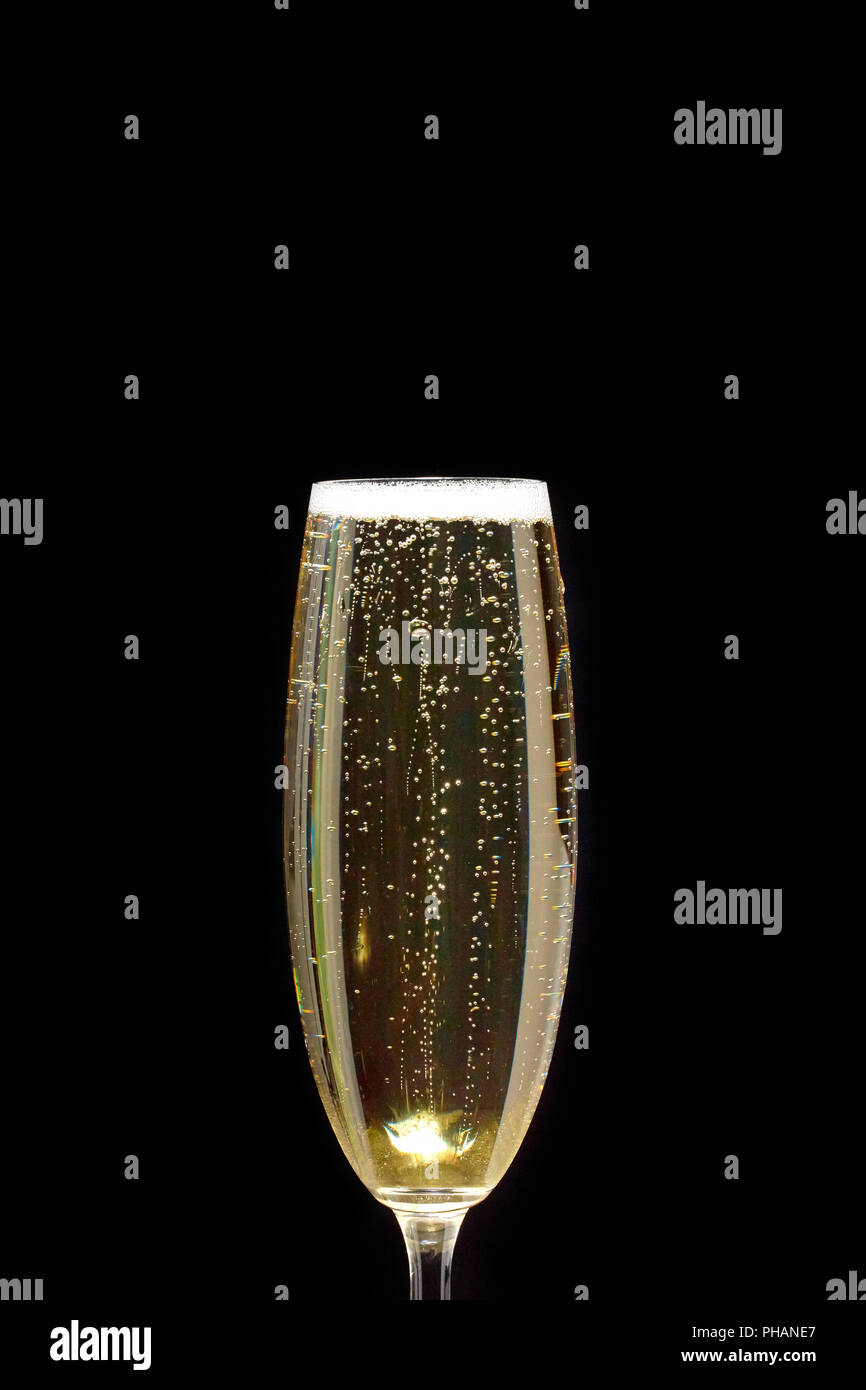 Eine Nahaufnahme eines Champagner Flöte mit Blasen und Schaum auf schwarzem Hintergrund Stockfoto