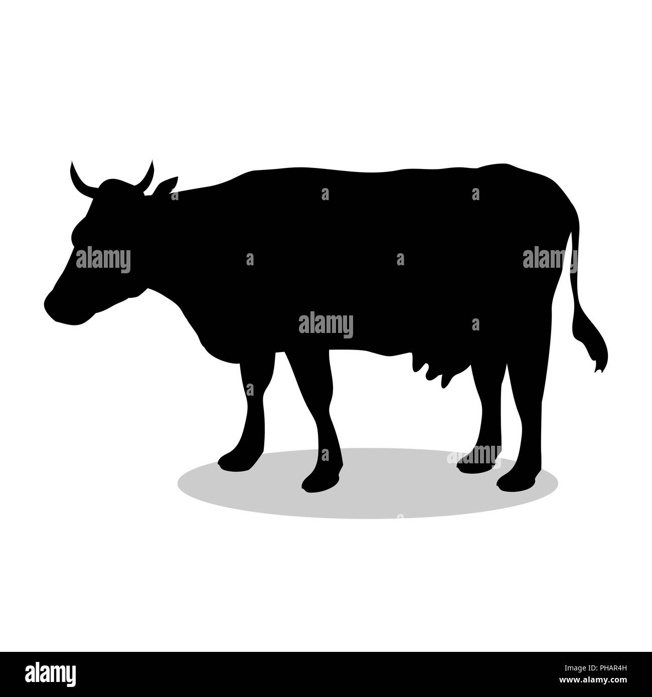 Kuh Nutztier Säugetier schwarze silhouette Stockfoto