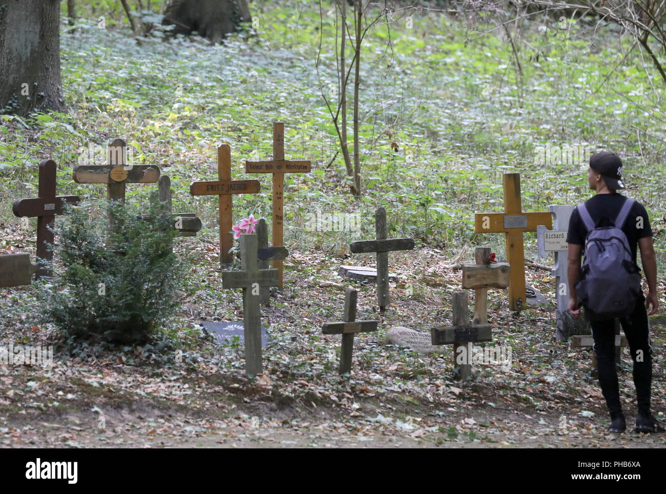 Deutschland, Neubrandenburg. 29 Aug, 2018. Schüler/innen besuchen die südlichen Friedhof der Sowjetischen Internierungslager in den fünf Eichen Memorial. Von 1939-45 war der Ort ein Krieg camp Gefängnis in Fünfeichen, nach 1945 war es die "besondere Lager Nr. 9" Der sowjetische Geheimdienst NKWD. Mehr als 10.000 Menschen starben auf der Website. Am 1. September 2018 Ein Festakt "70 Jahre Abschluss des Camps in Fünfeichen Fünfeichen findet in Anspruch nehmen. Quelle: Bernd Wüstneck/dpa/Alamy leben Nachrichten Stockfoto