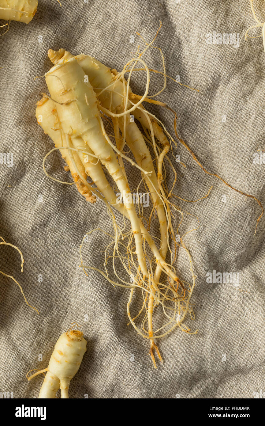 Raw Organic gesunde Ginseng Wurzel Einsatzbereit Stockfoto