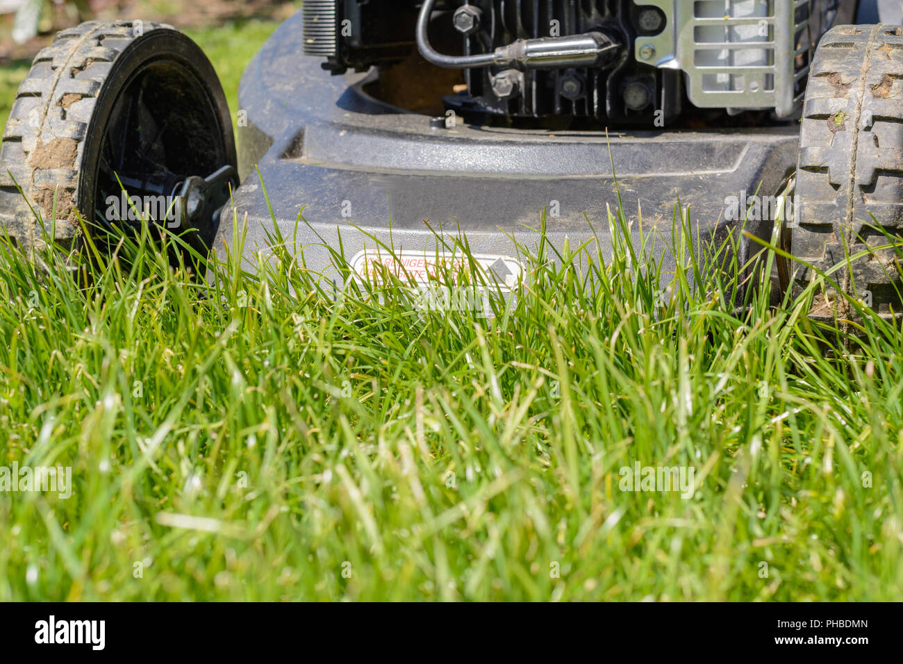 Rasen mähen Rasen mit einem Rasenmäher - Detail Stockfoto