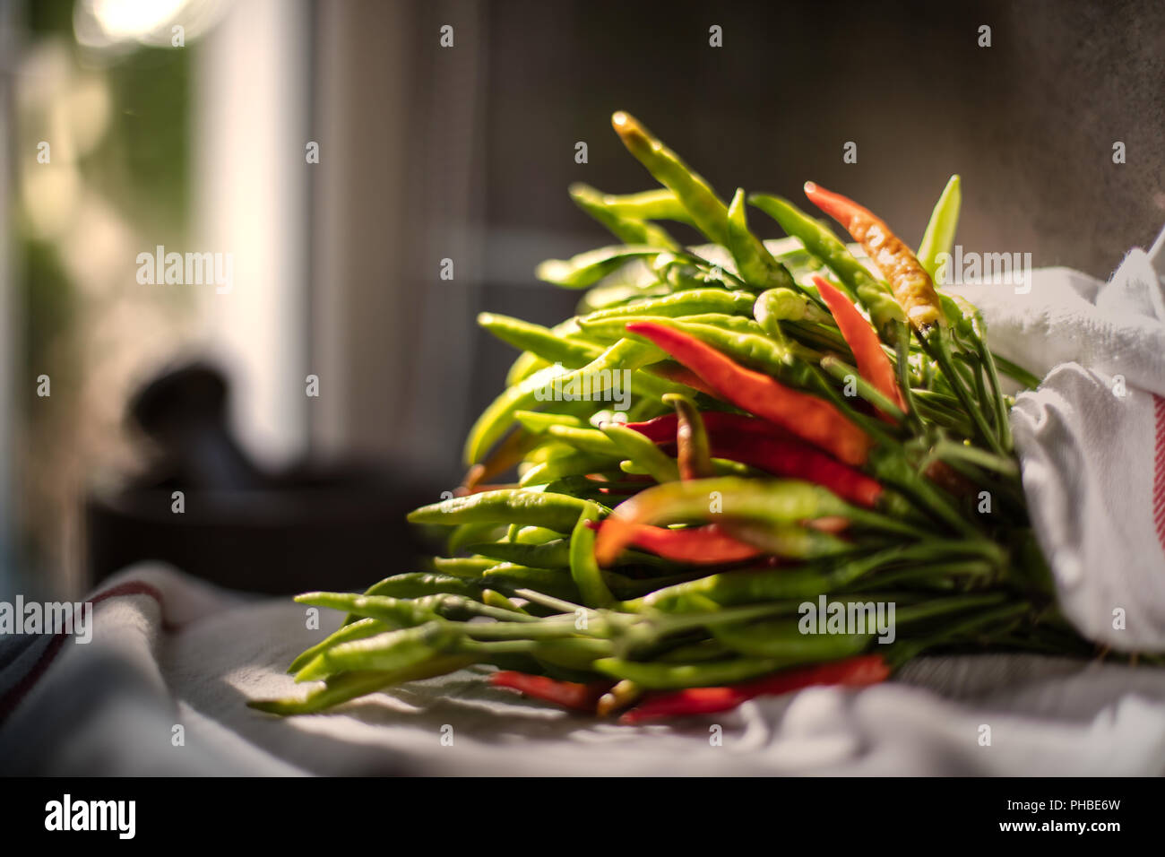 Grüne und rote Paprika auf einem Tuch, selektiver Fokus auf Hintergrund Tuch in Küche, Vollbild und hohe Bildqualität Stockfoto