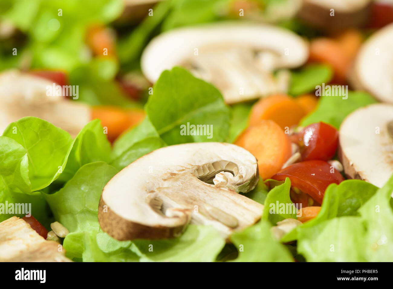 Grüner Salat mit Pilzen Stockfoto