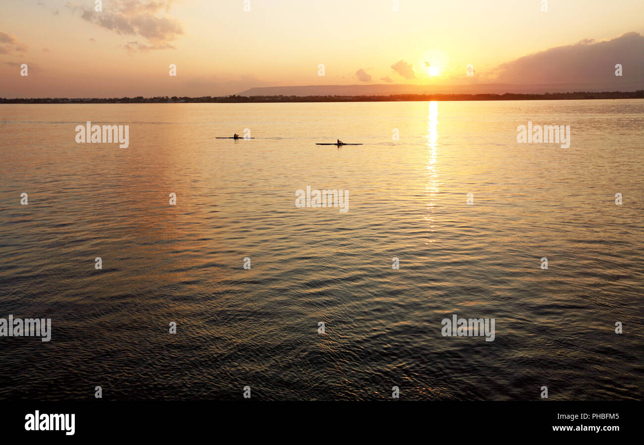 Kanuten bei Sonnenuntergang, Ortigia, Sizilien, Italien, Mittelmeer, Europa Stockfoto