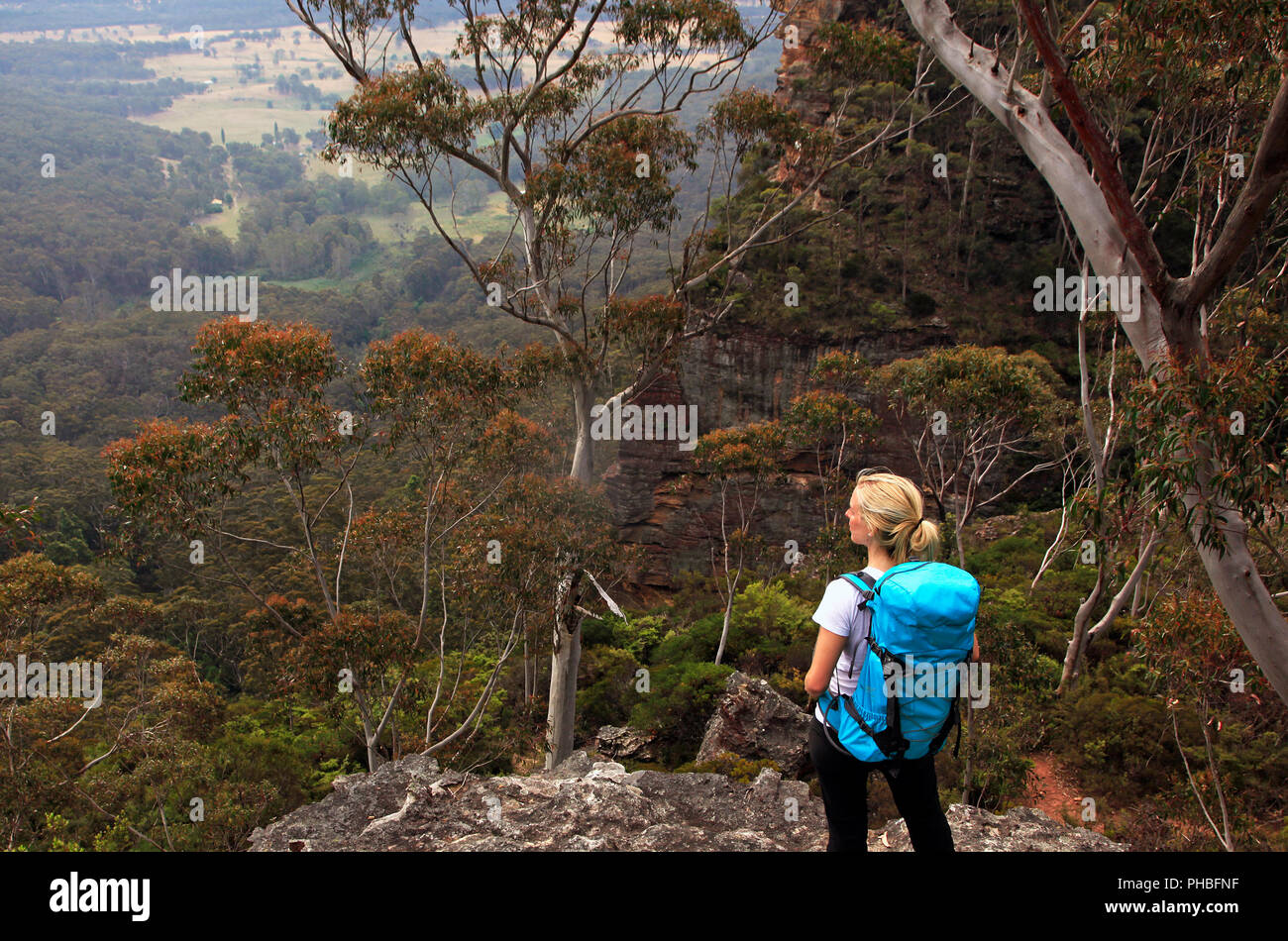 Eine Frau wandern in den Blue Mountains, New South Wales, Australien, Pazifik Stockfoto