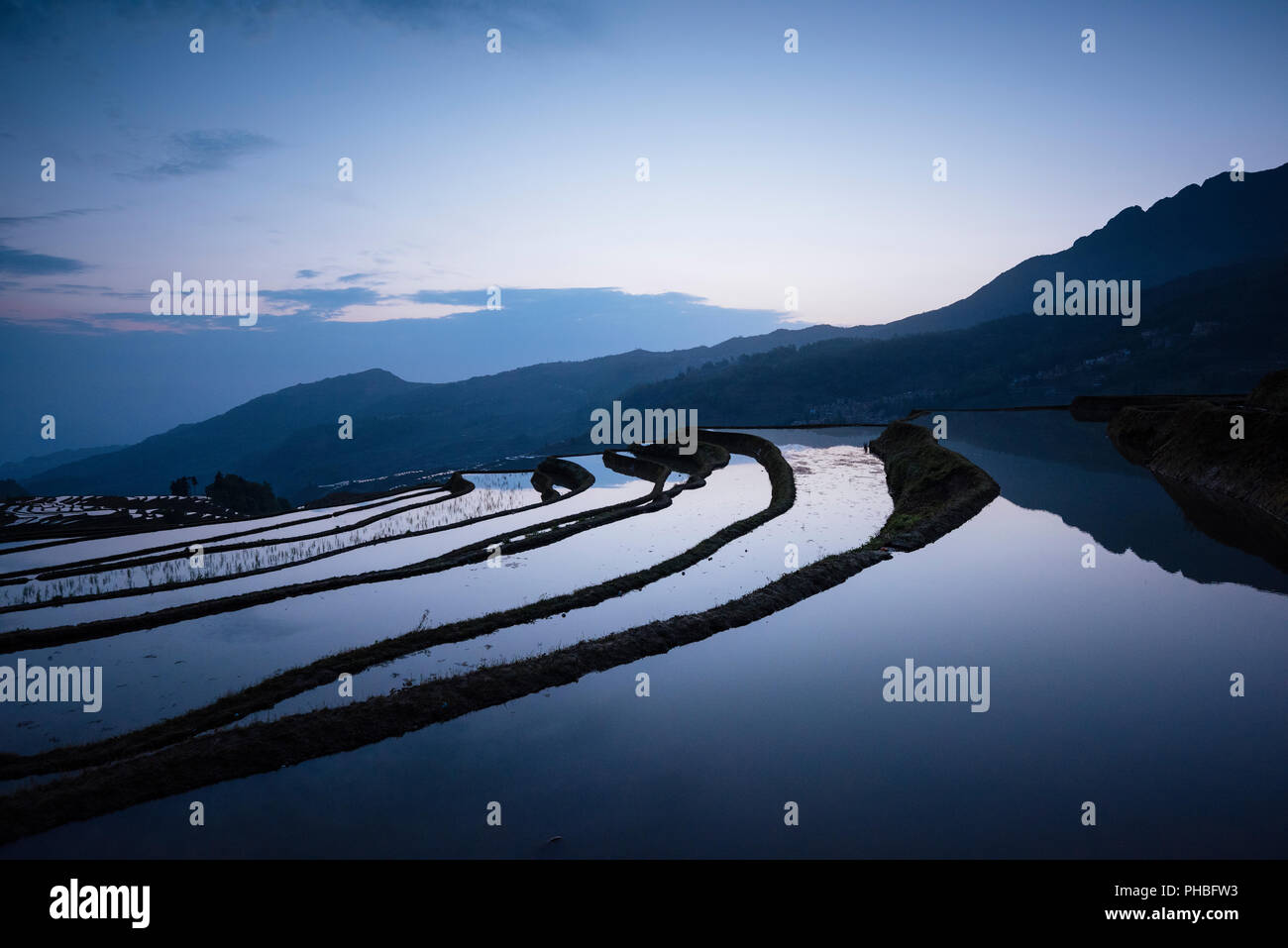 Duoyishu Reisterrassen in der Morgendämmerung, UNESCO-Weltkulturerbe, Yuanyang, Provinz Yunnan, China, Asien Stockfoto
