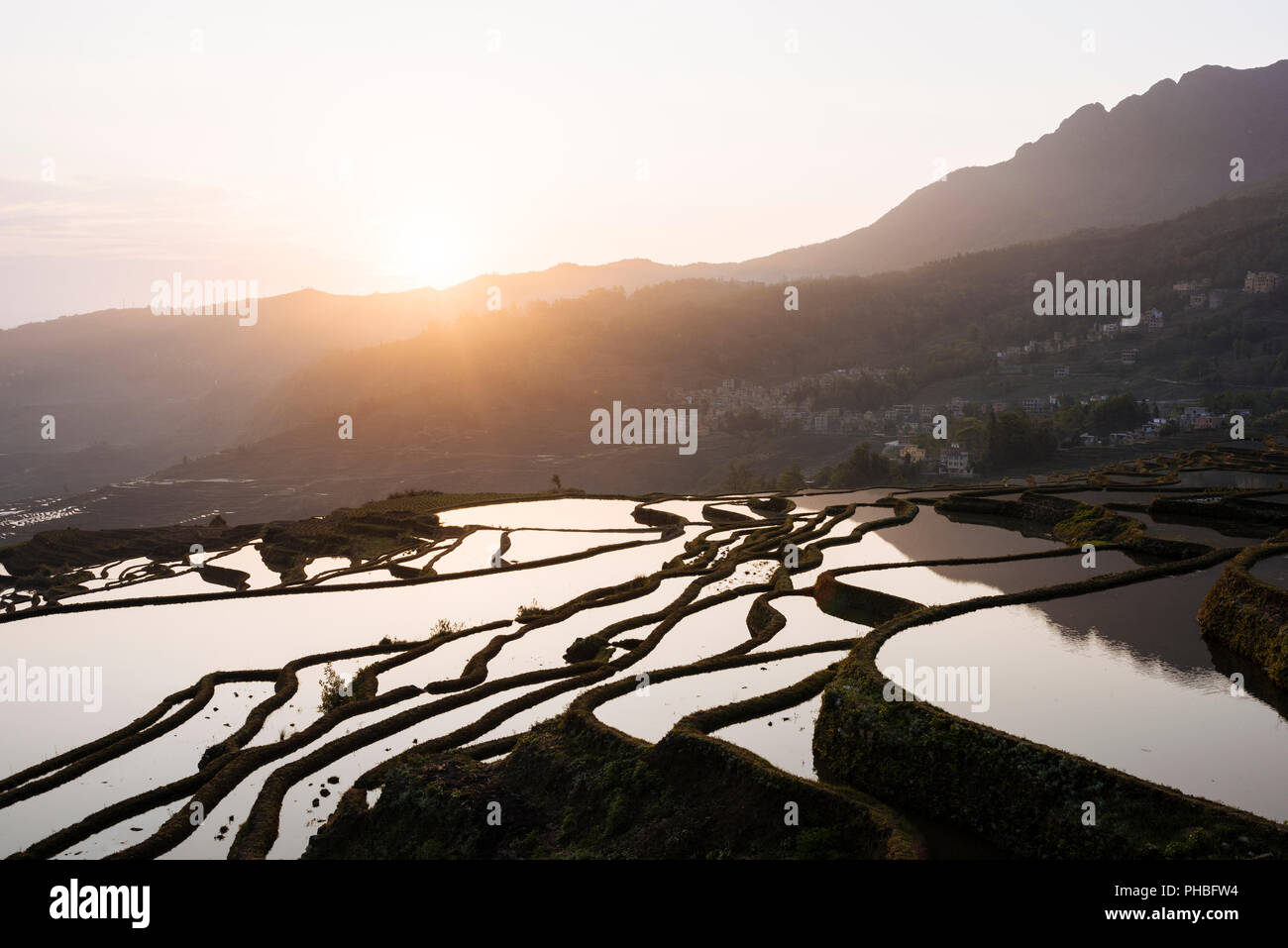 Duoyishu Reisterrassen in der Morgendämmerung, UNESCO-Weltkulturerbe, Yuanyang, Provinz Yunnan, China, Asien Stockfoto