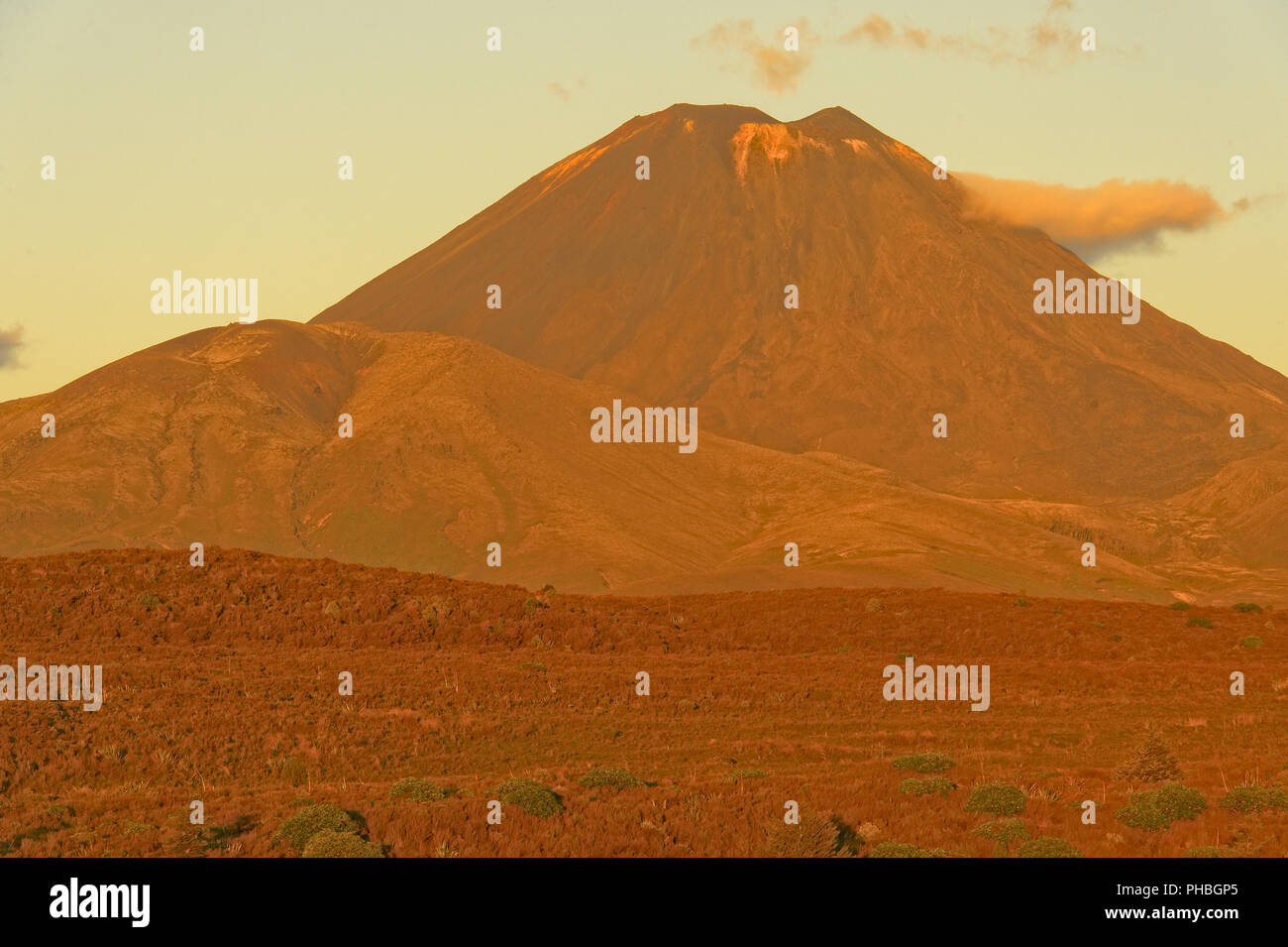 Mt Ngauruhoe, Neuseeland Stockfoto