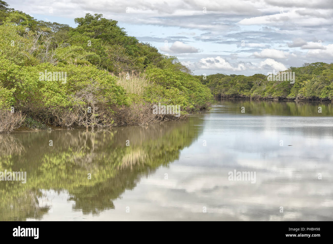 Tempisque River, Costa Rica Stockfoto